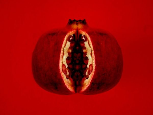 Αν πας στο Λονδίνο, πέρνα από το Vαgina&nbsp;Museum